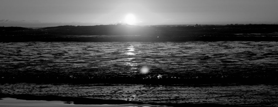 完全免费不要钱的短信炸弹防护业务